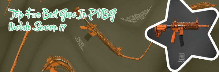 Pubg top guns